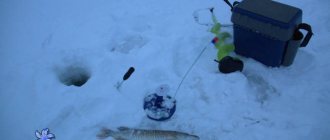 Vashutinskoye Lake: fishing and what kind of fish is found
