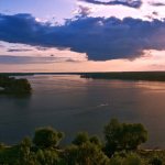 The Volga Reservoir is the habitat of bream