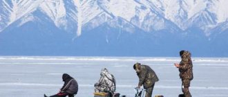 Зимняя рыбалка в Мурманской области ловля сига