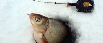 Winter tackle for bream